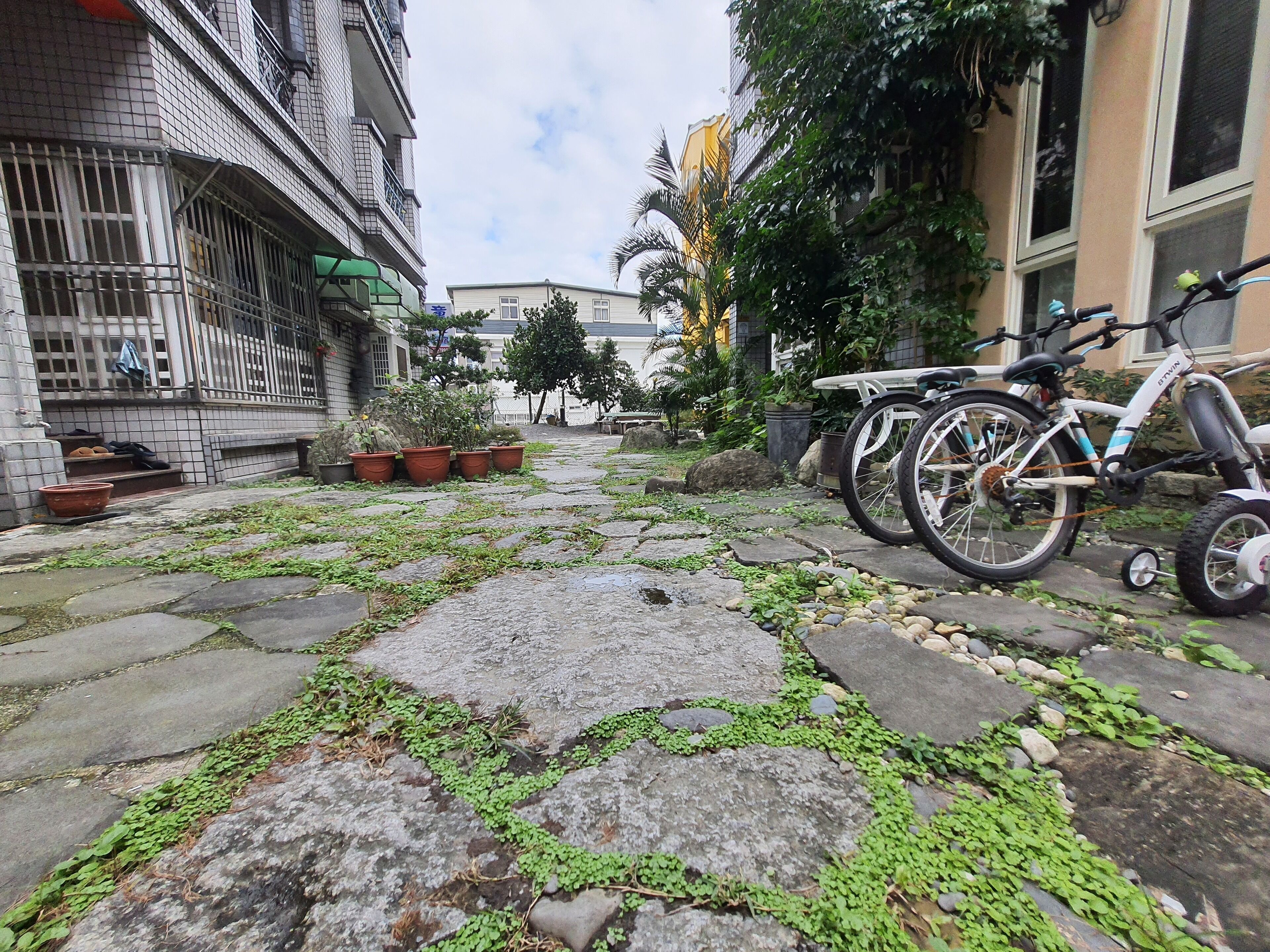 A narrow alley with stone pavement, potted plants, and bicycles parked on the right.