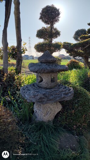 외관