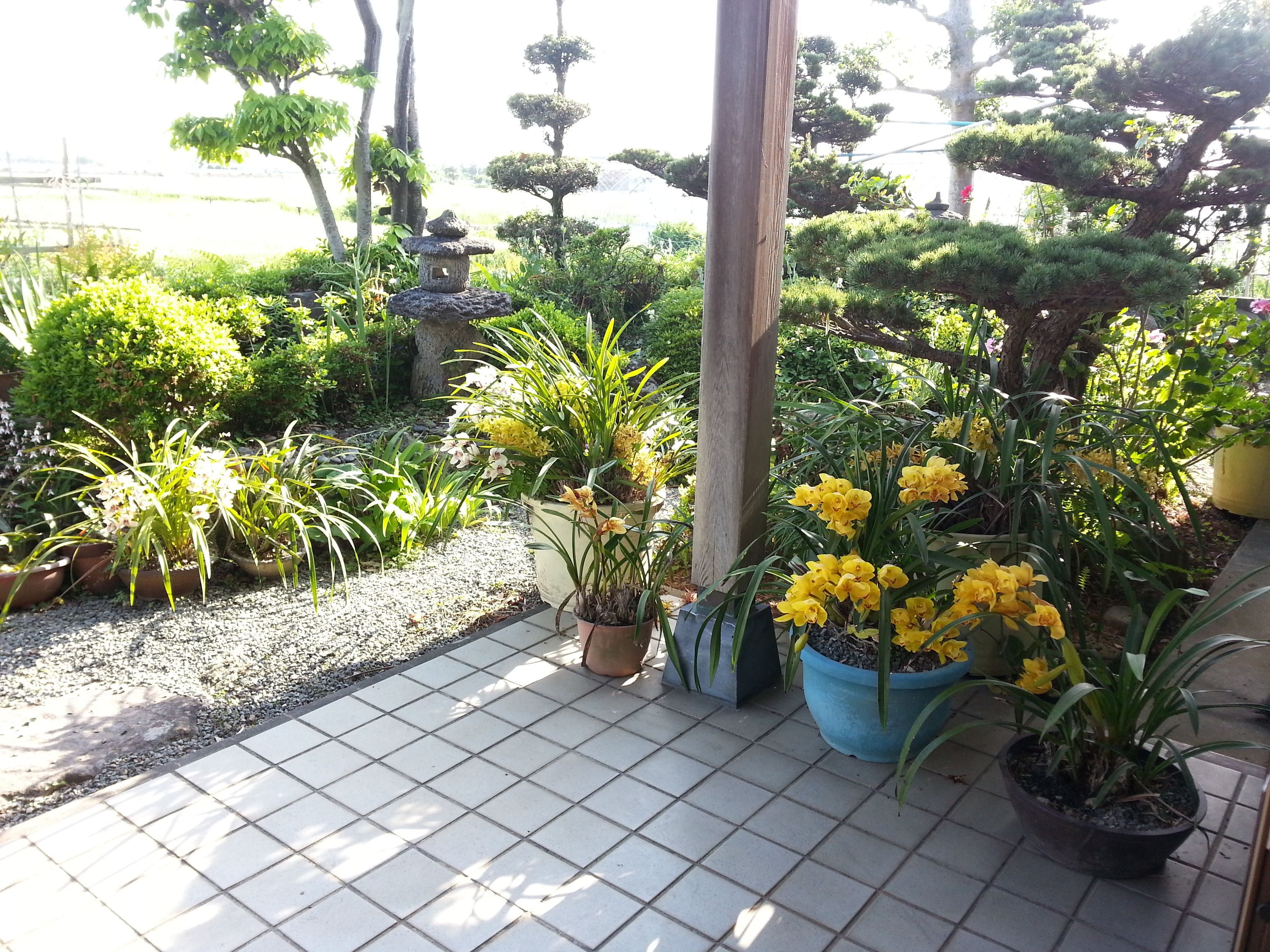 A garden with various potted plants and a tiled walkway.