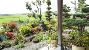 A garden with various plants, a stone fountain, and a view of a green field. - Guest House Nakamura House (Oki)
