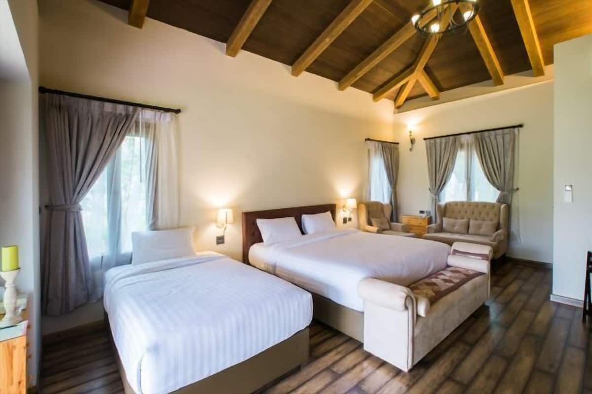 Free minibar, in-room safe, blackout drapes, free WiFi