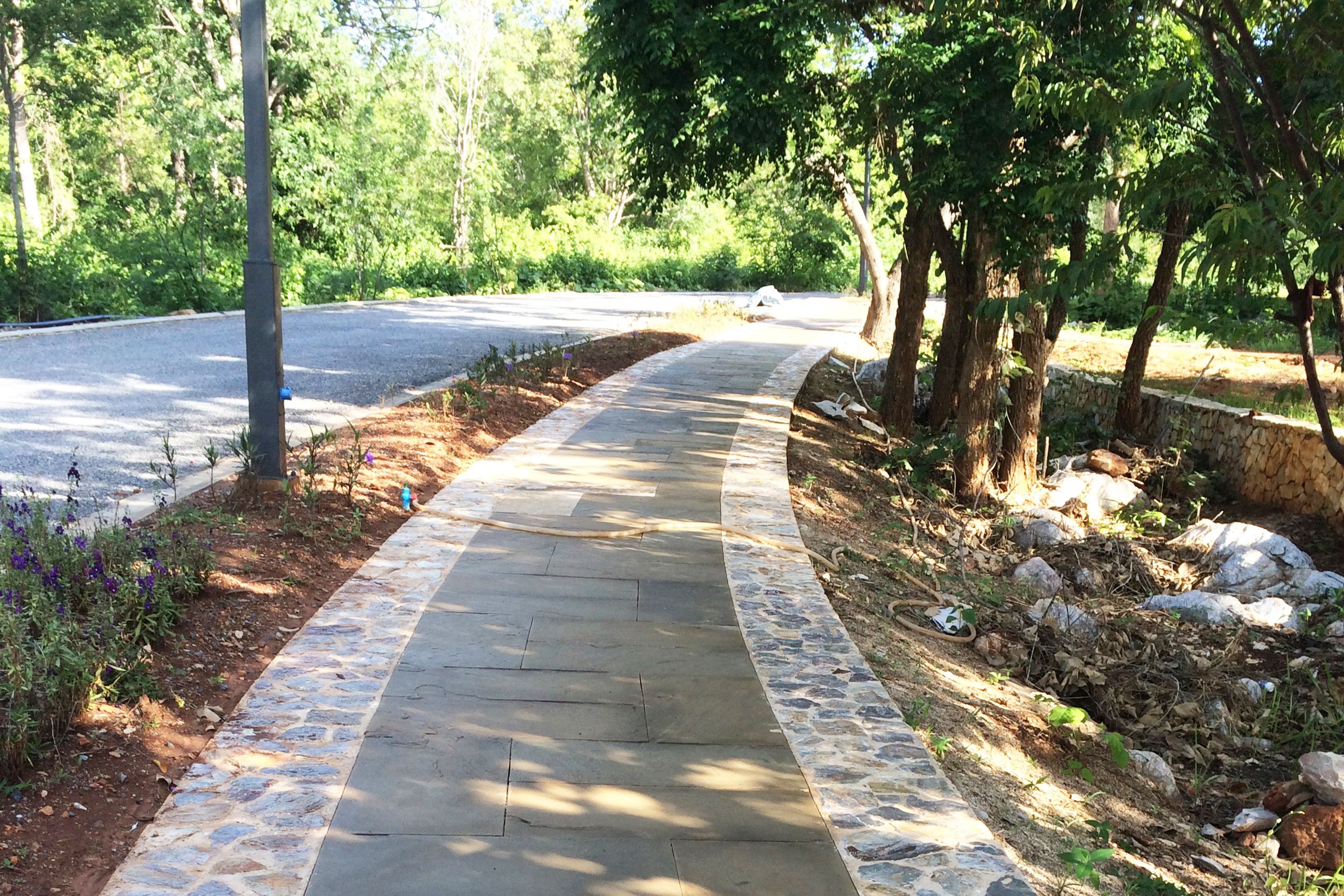 A paved pathway bordered by a stone edge, surrounded by greenery and trees.