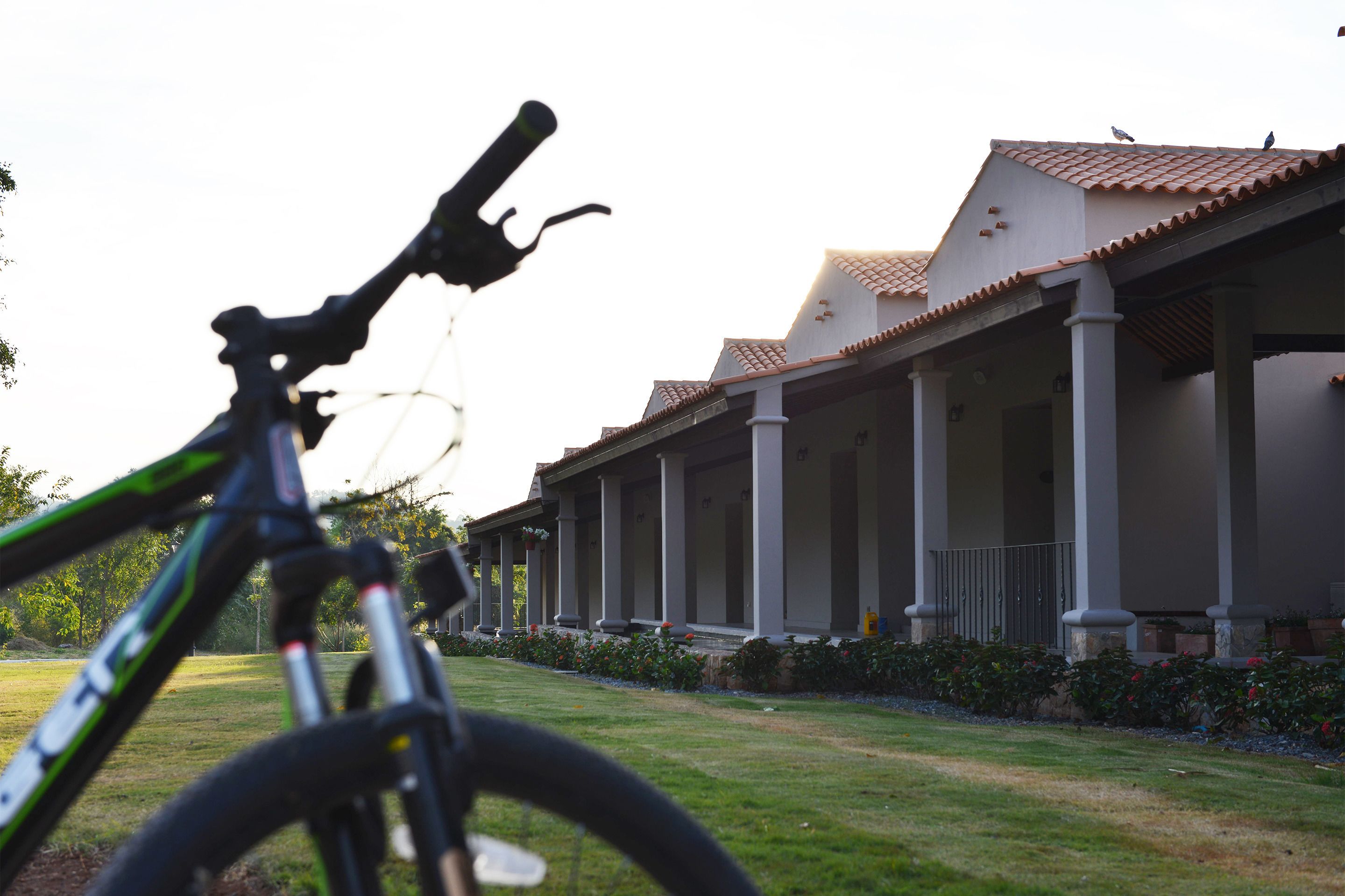 A bicycle in the foreground with a house in the background.