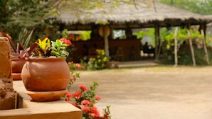 Macetas de terracota con plantas sobre una plataforma de madera, una estructura de techo de paja al fondo y un suelo de tierra.