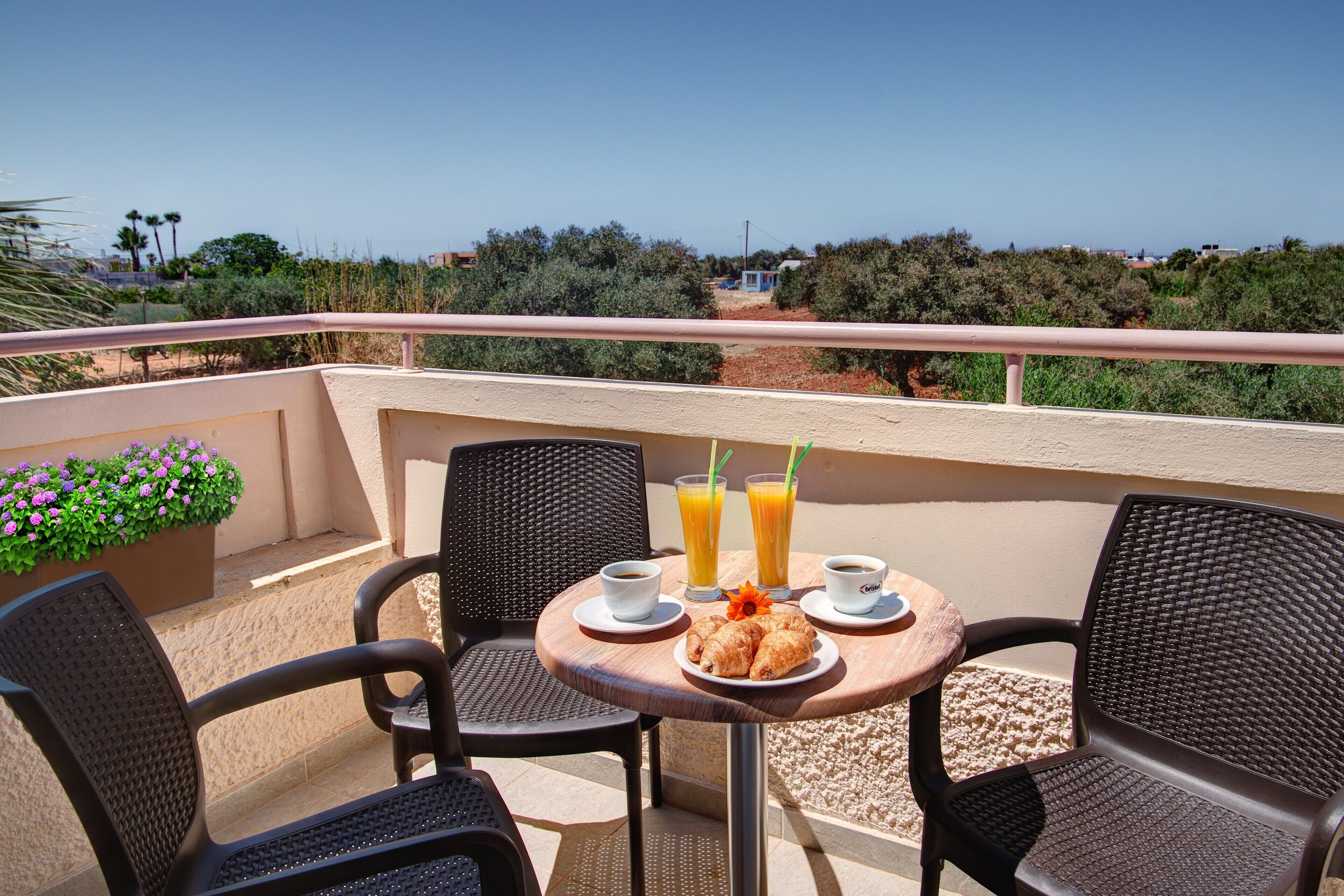 Standard Triple Studio with Garden View | Utsikt från rummet