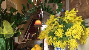 Una habitación con una escalera, un jarrón de flores amarillas y una cesta de limones sobre una mesa.