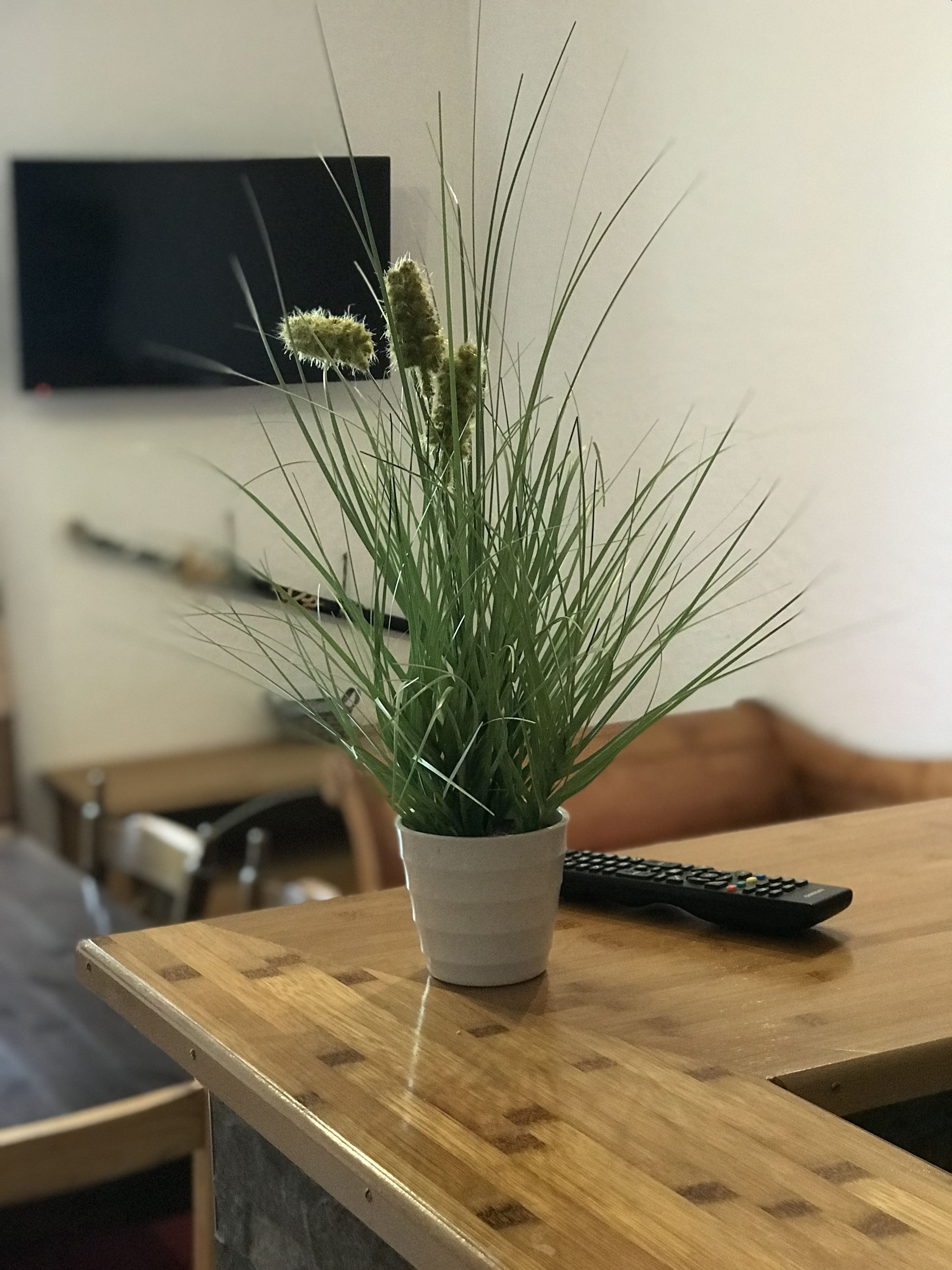 family apartment, 2 bedrooms | minibar, in-room safe, desk, laptop workspace