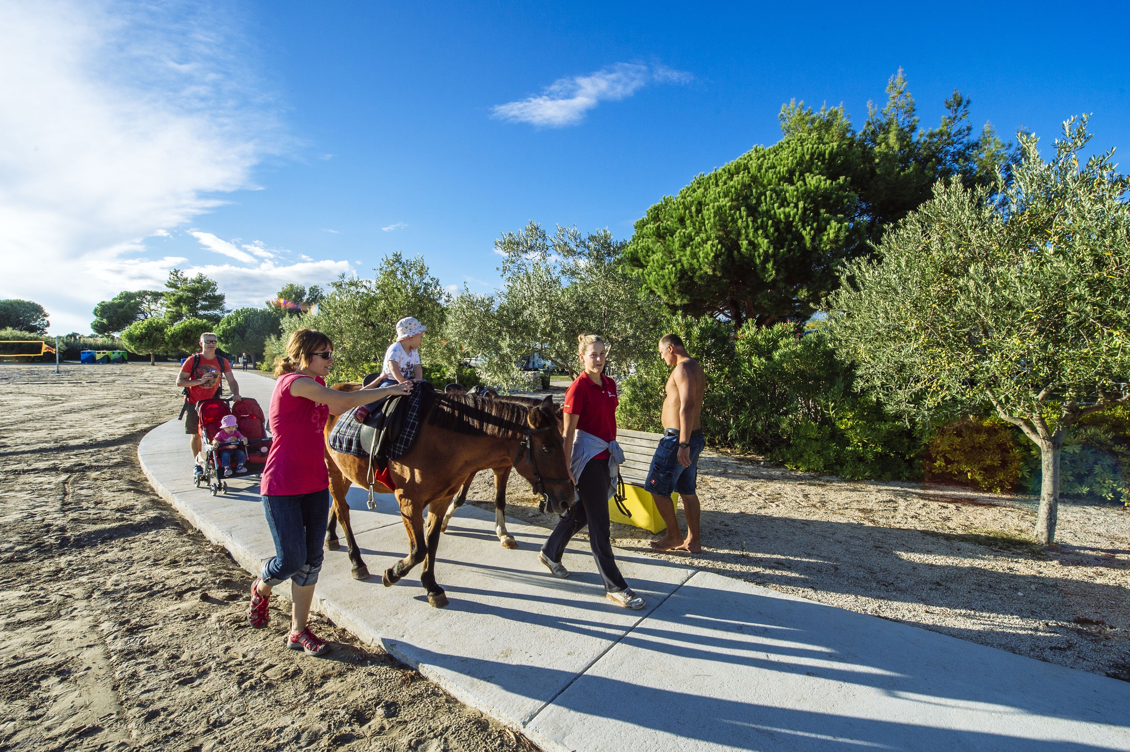 A group of people walking along a concrete path beside a sandy area with trees and a clear sky.