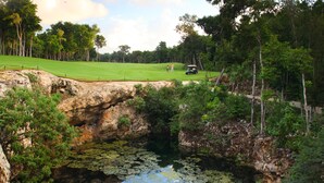 A golf course with a rocky terrain, a pond with lily pads, and a golf cart.