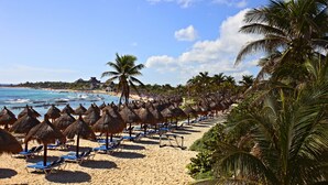 A beach with rows of thatched umbrellas and blue lounge chairs, palm trees, and a clear view of the ocean.