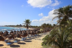 Beach nearby, scuba diving, snorkeling, surfing