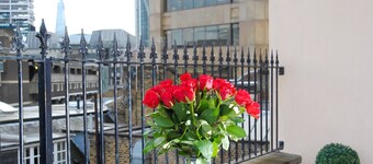 Park Lane City Apartments