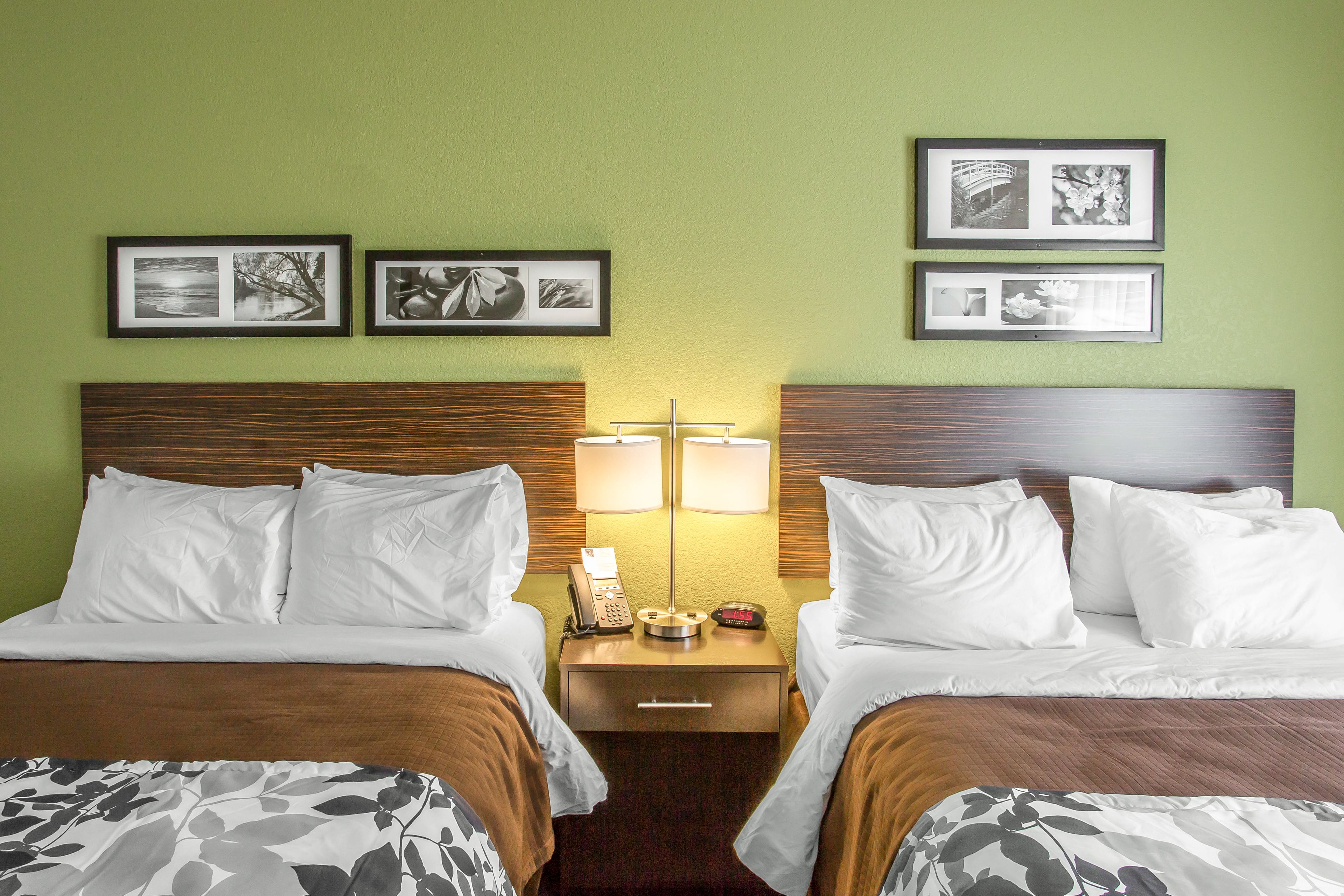 standard room, 2 queen beds, non smoking | desk, iron/ironing board, free wifi, bed sheets