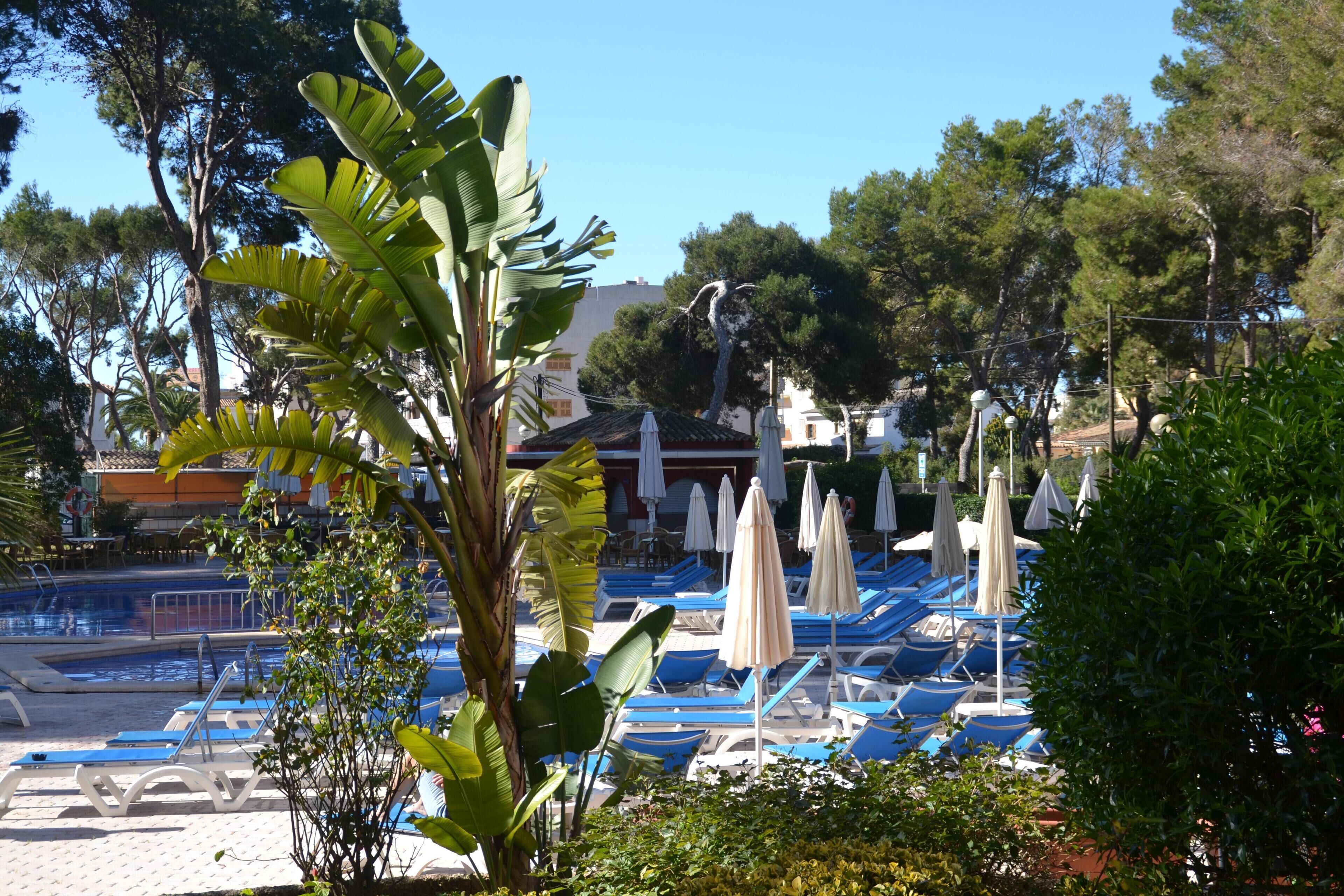 Zona de piscina con sillones de descanso y sombrillas, rodeada de plantas y árboles tropicales.