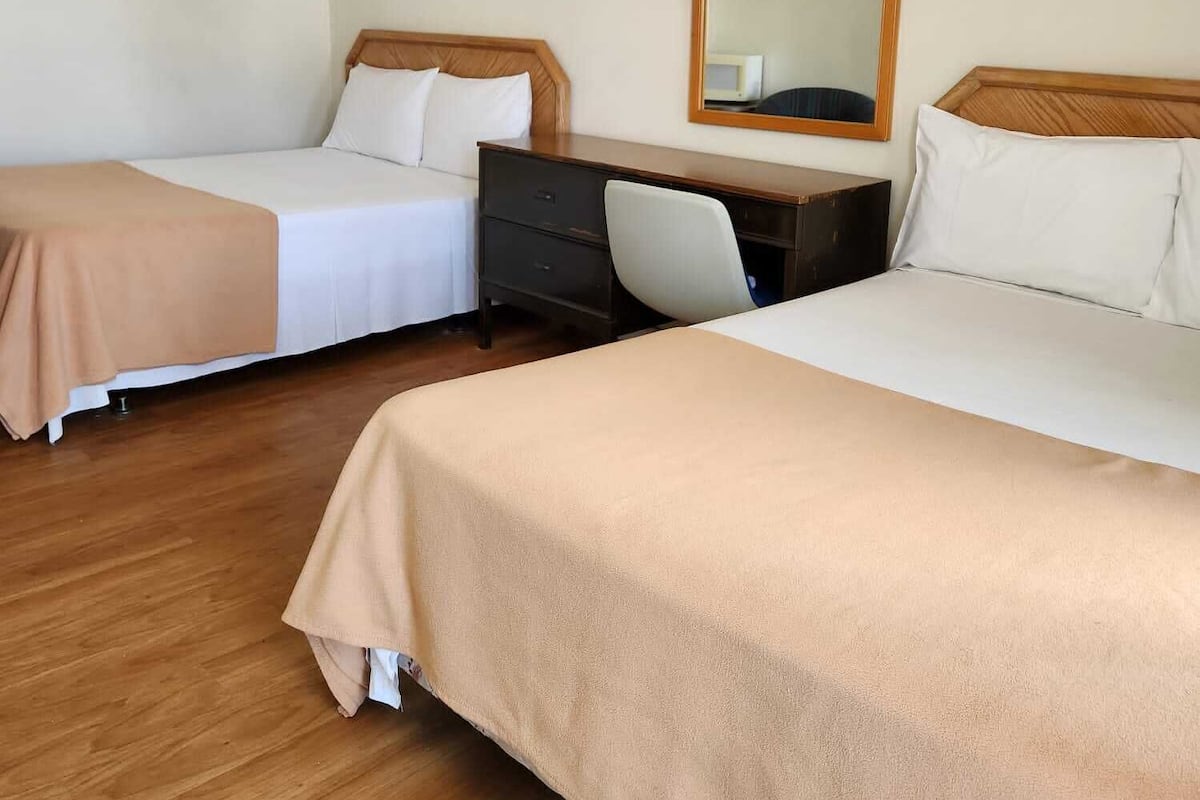 Habitación de hotel con dos camas individuales, un escritorio de madera, una silla y un espejo grande en la pared.