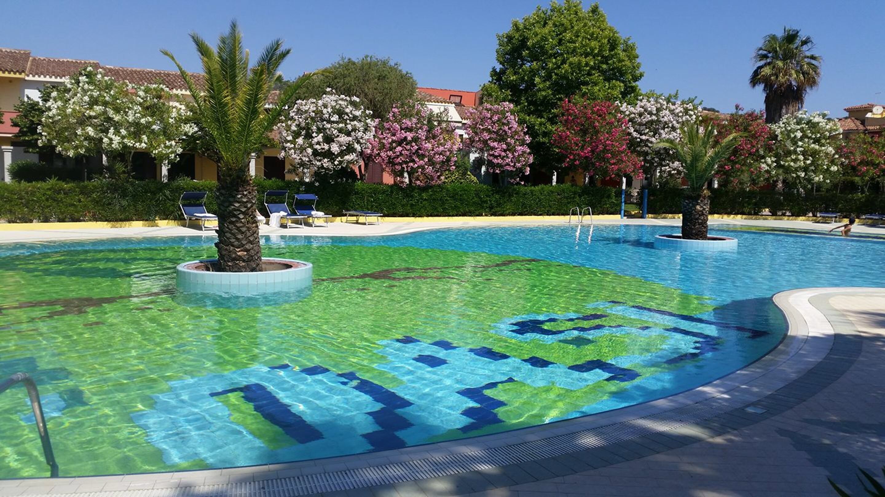 Ein Swimmingpool mit blauem, klarem Wasser und einem grünen Rand, umgeben von Palmen und blühenden Büschen.