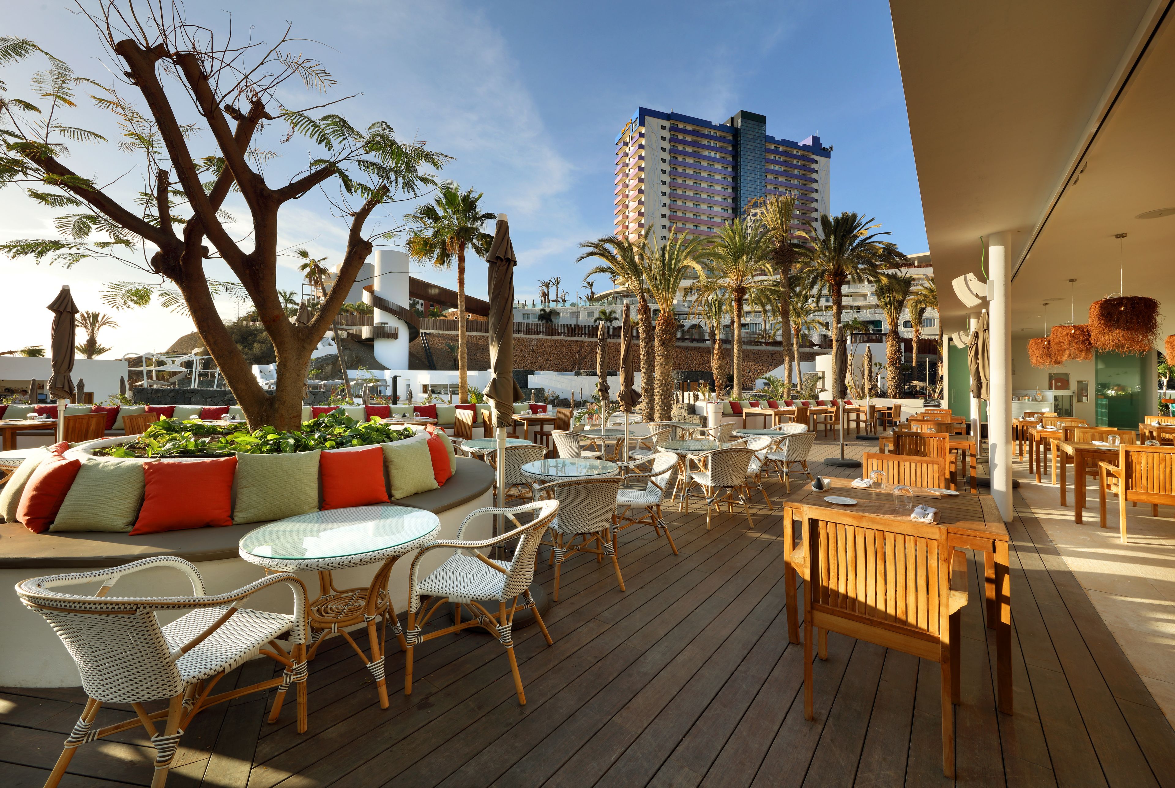 Une terrasse extérieure avec des tables rondes et des chaises en osier, entourée de palmiers et offrant une vue sur un grand immeuble.