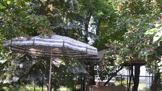 A gazebo with a picnic table and a bench, surrounded by a stone pathway and lush greenery. - Motel Derfal (Repentigny)