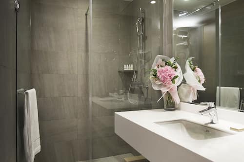 Hair dryer, bathrobes, slippers, bidet