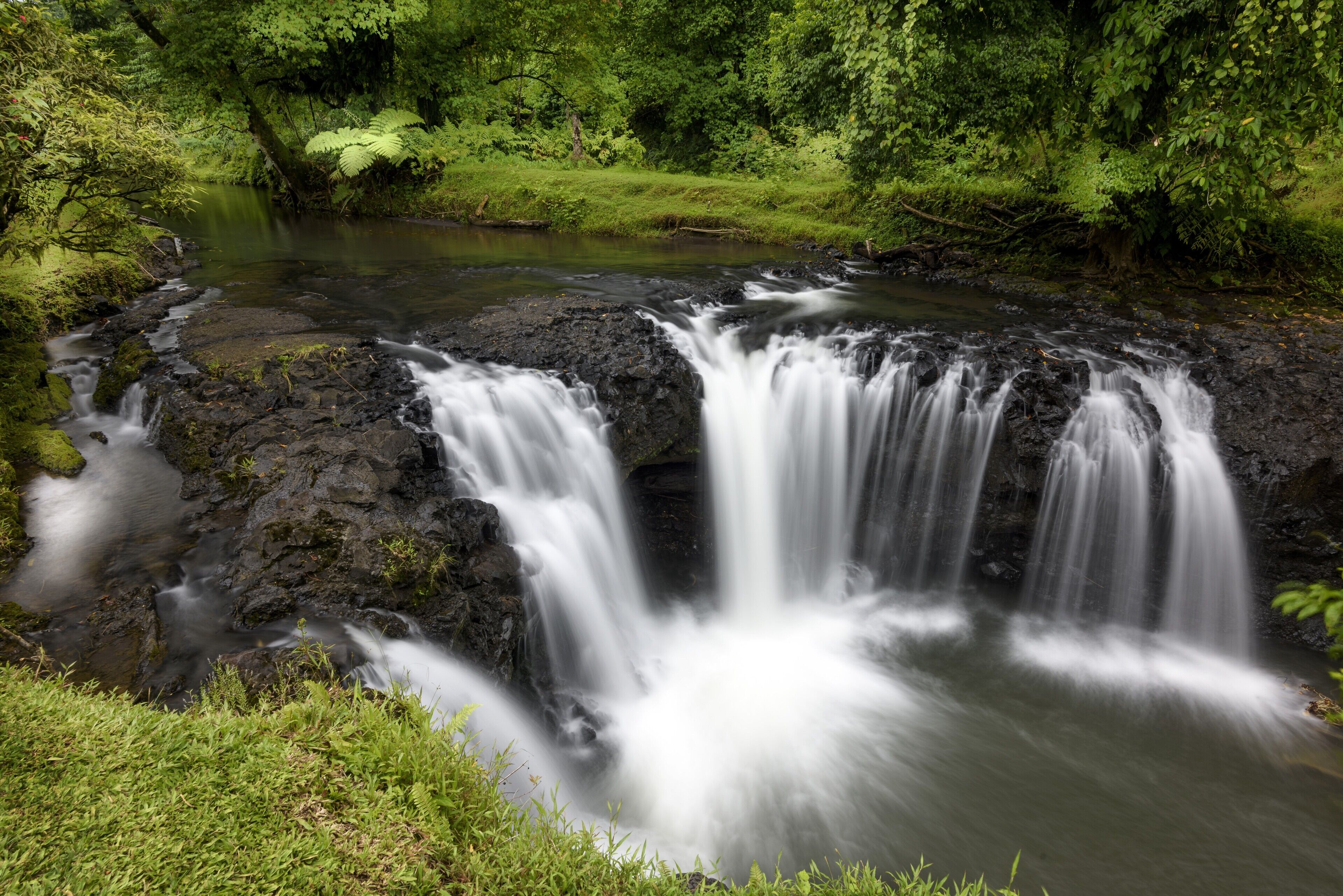 Una cascada en un entorno de bosque verde y frondoso.