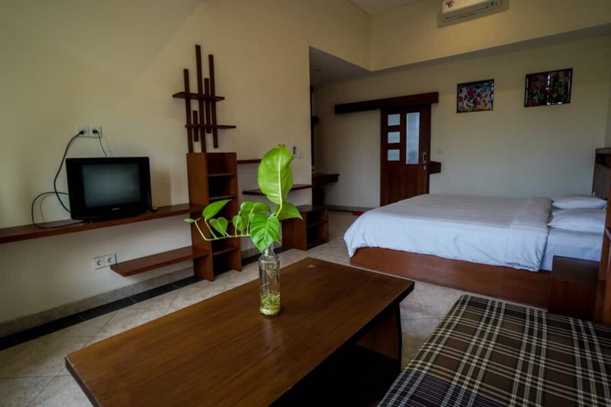 A hotel room with a bed, a television on a shelf, a wooden table, and a plant.