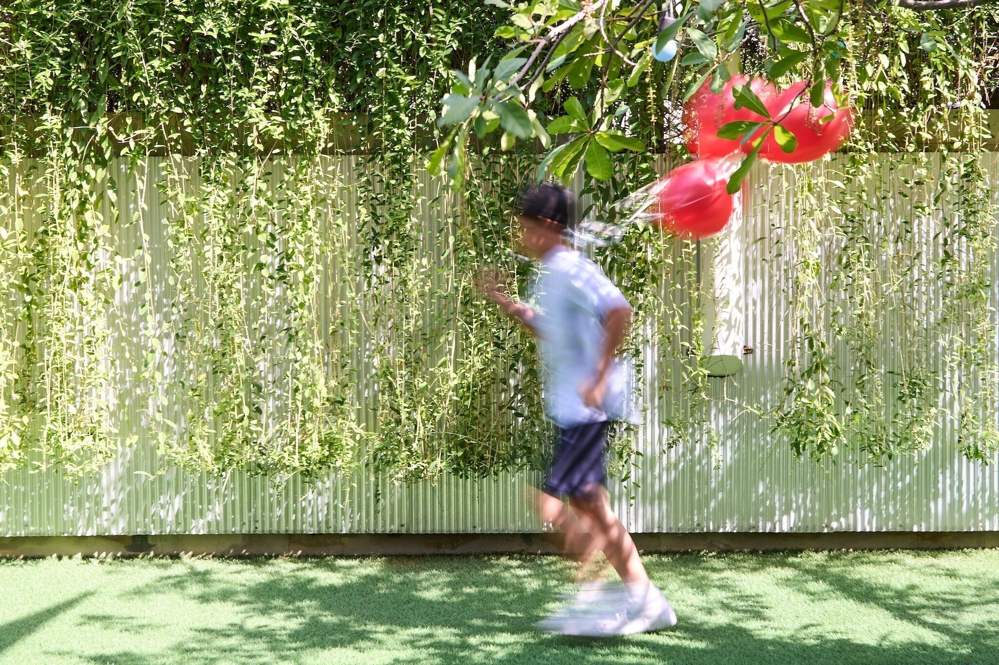 A person walking in a garden with a fence and greenery.