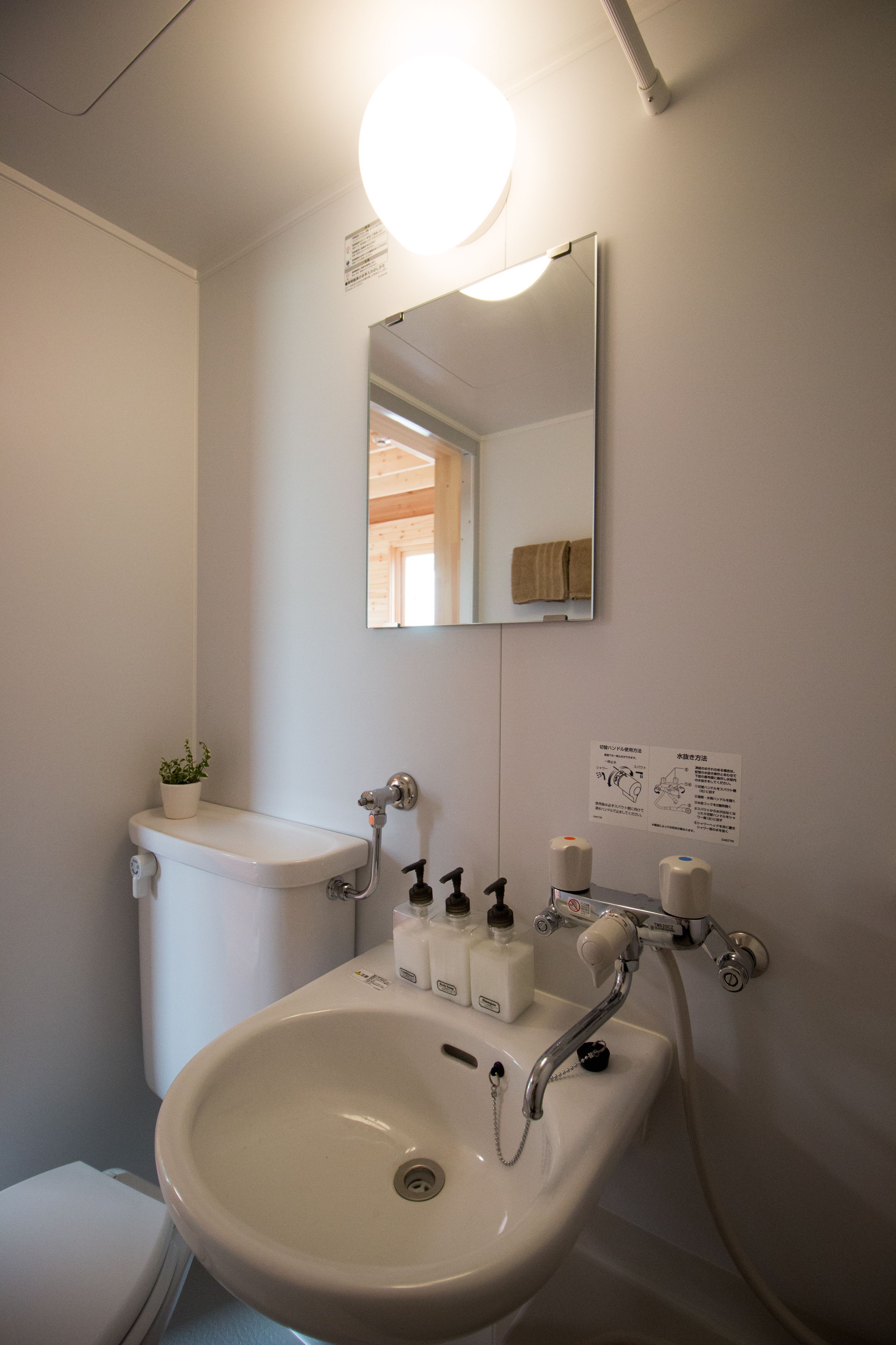 A bathroom with a white sink, toilet, and mirror. There is a small plant on the sink, and a light fixture above the mirror.