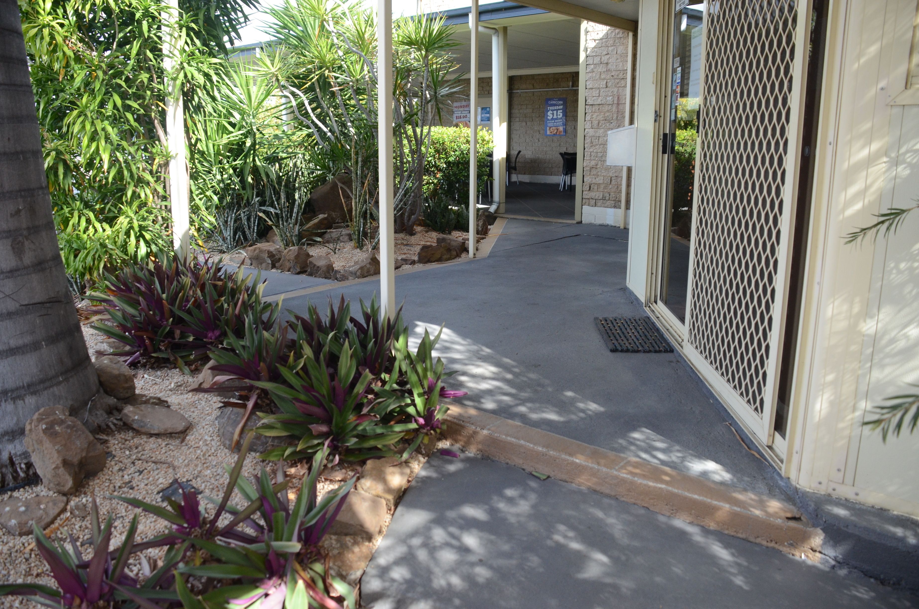 A covered walkway with a concrete path, surrounded by various plants and rocks.
