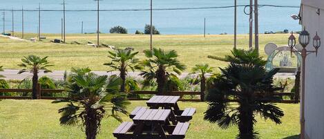 A view of a grassy area with picnic tables and palm trees, overlooking a body of water with boats.