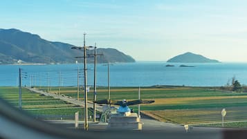 A coastal view with a statue, power lines, and a road leading to the sea.