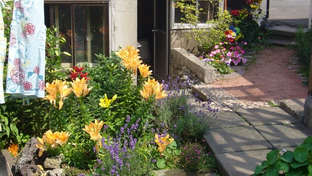A garden with various flowers and plants in front of a building with a brick wall and a window. - Minshuku Mutsukari (Furano)