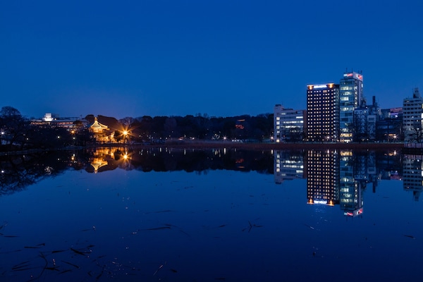 Vista desde la propiedad