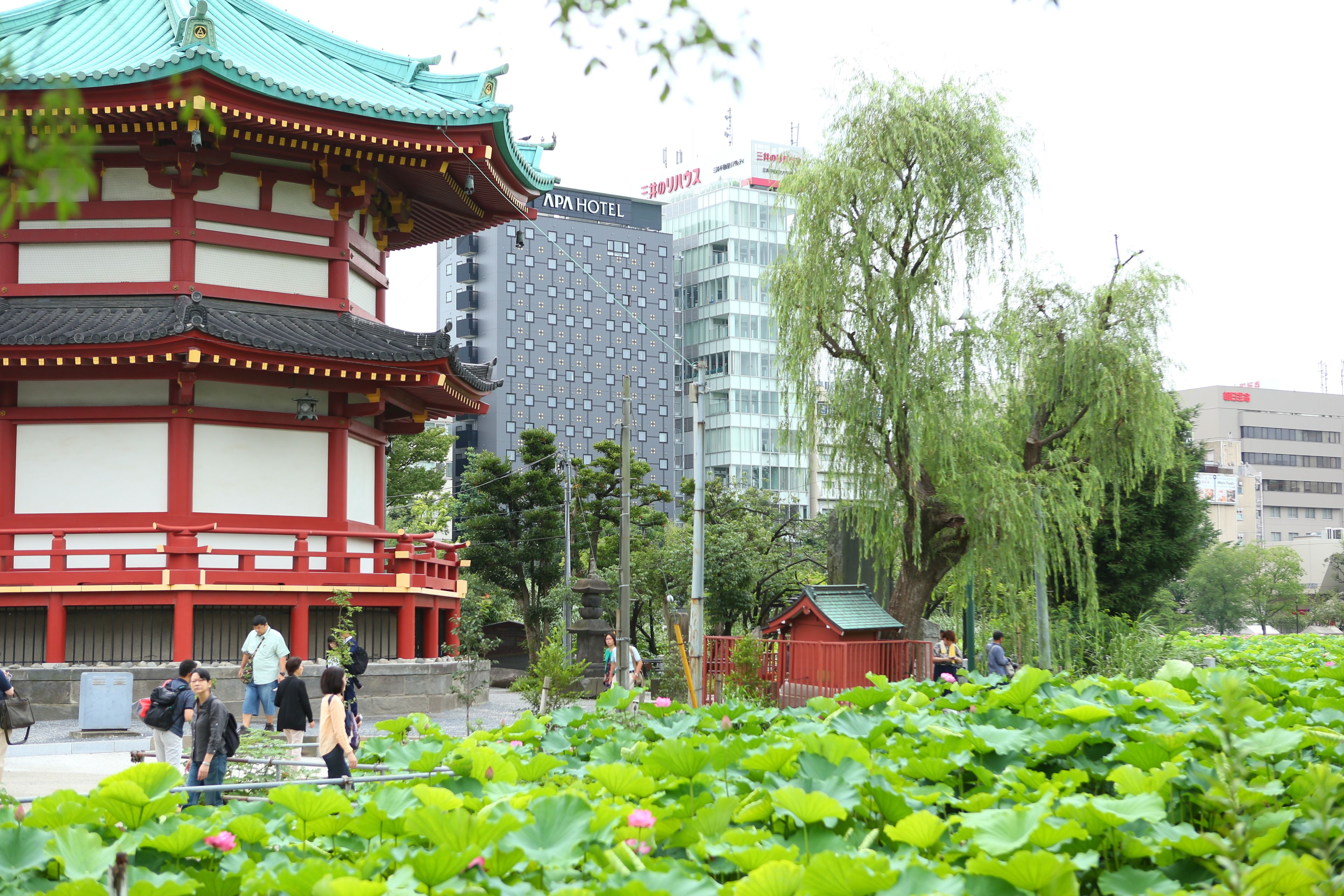 Photo - Hotel Apartment Ueno Inaricho Sta