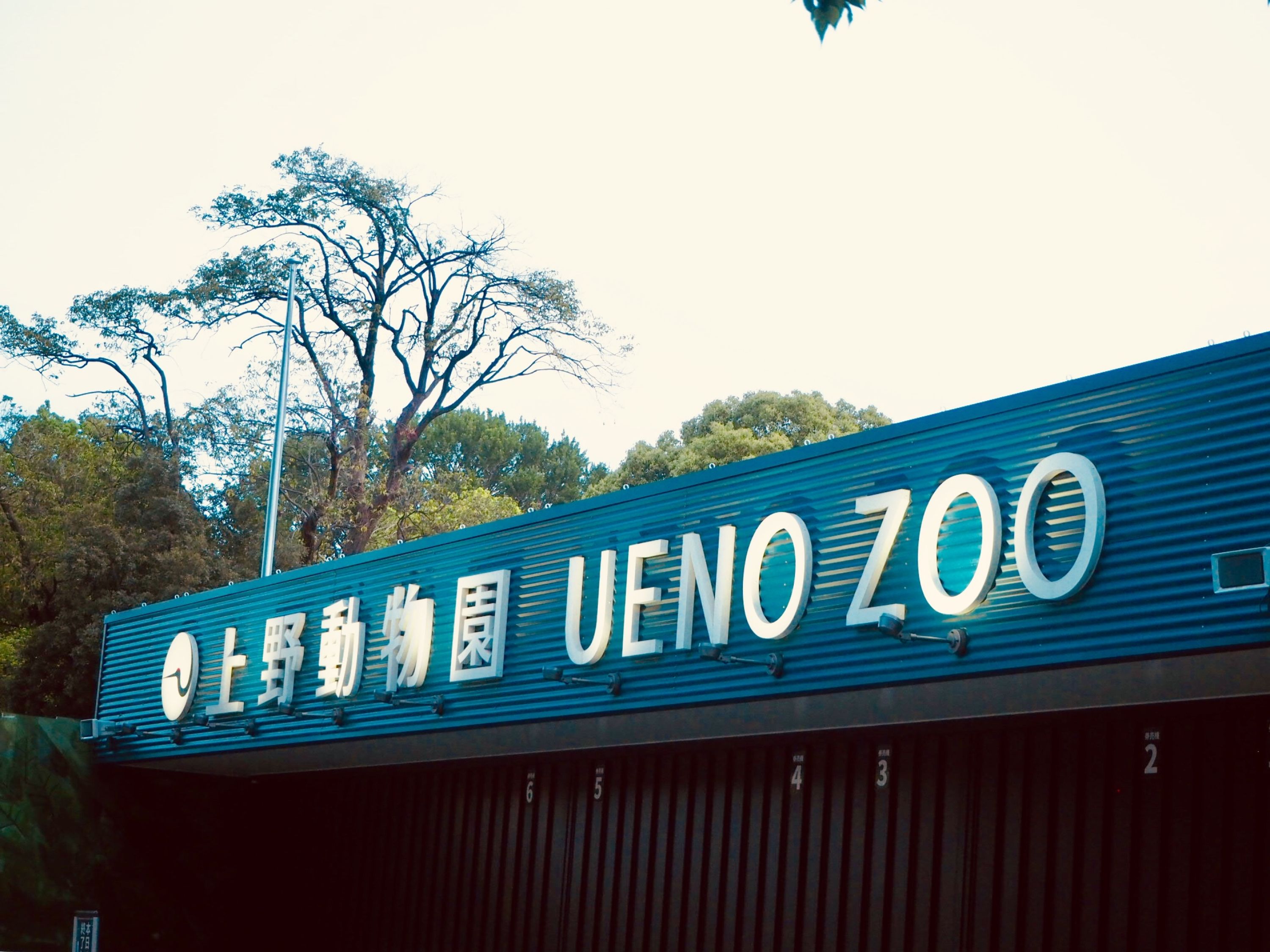 A sign for Ueno Zoo with a large, bold logo and Chinese characters.