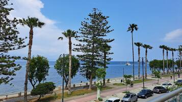 Beach/ocean view