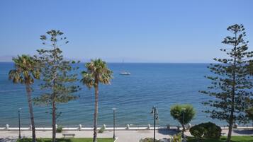 Una passeggiata costiera con palme, panchine e vista sul mare.