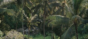 Bucu View Ubud Resort