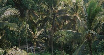 Bucu View Ubud Resort