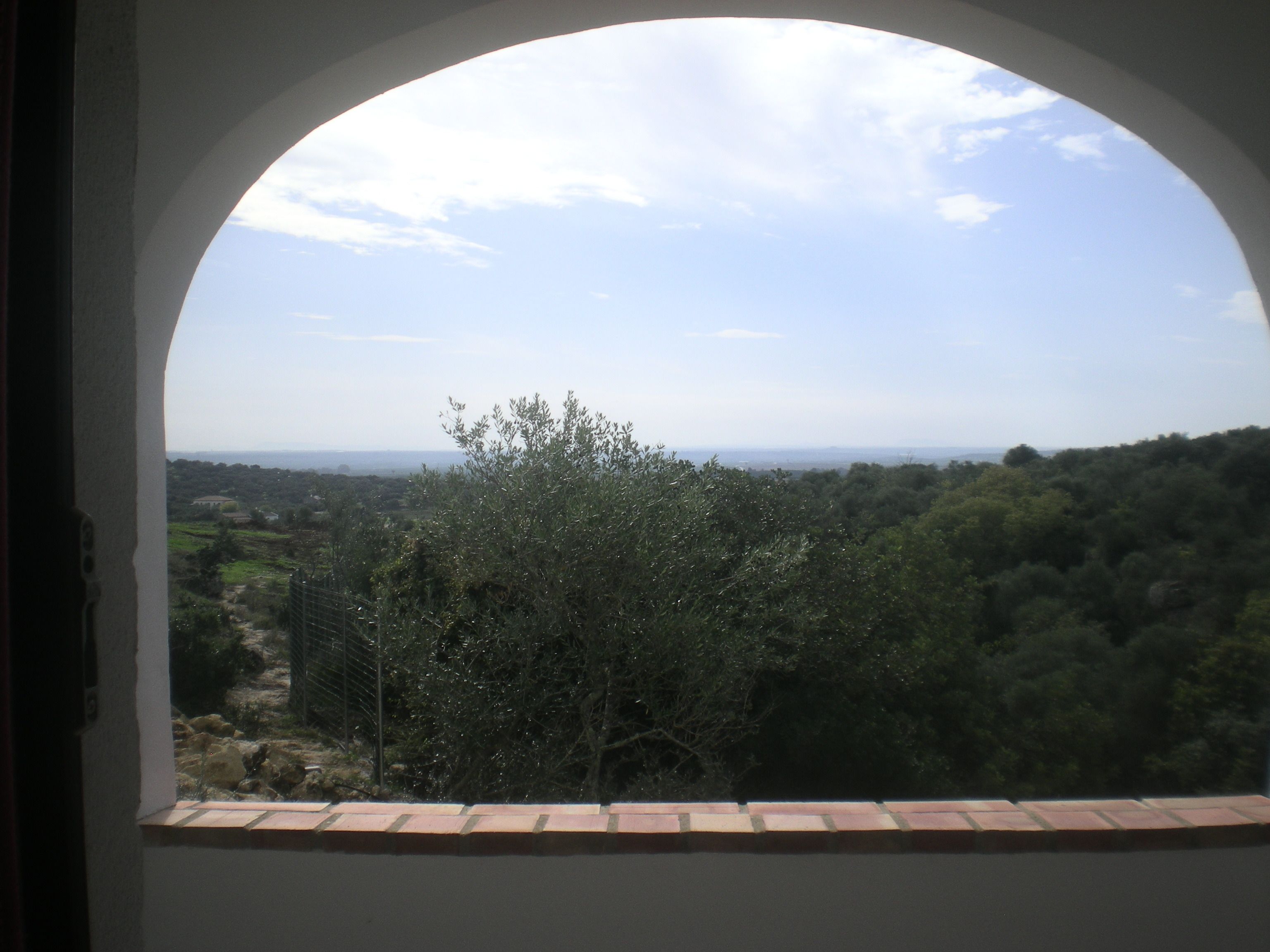 A view through an arched window overlooking a landscape with trees and distant hills.