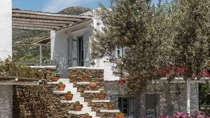A modern house with a stone staircase leading to a white door, surrounded by potted plants and vibrant flowers. - Verina Terra (Sifnos)