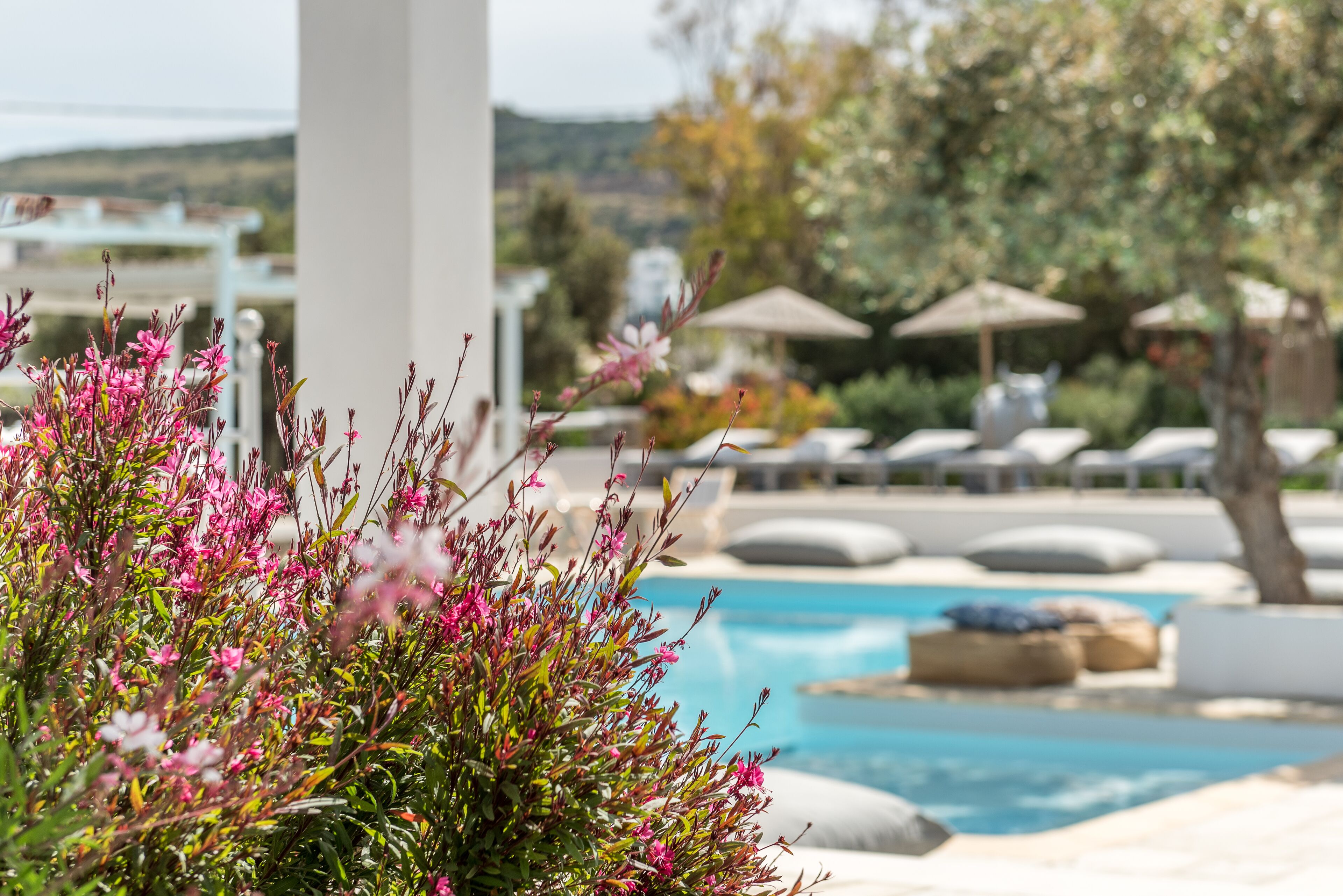 outdoor pool, pool loungers