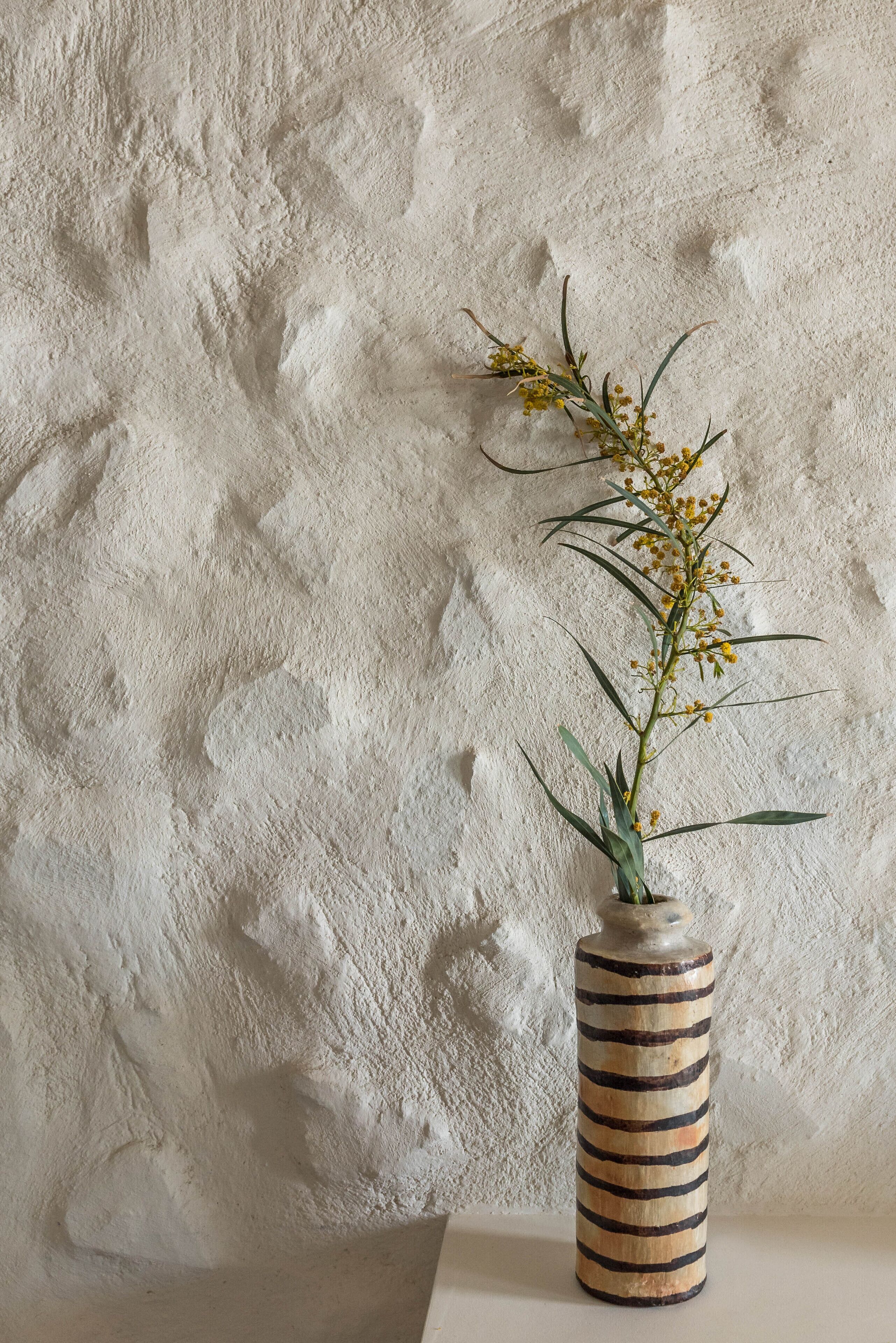 A vase with a striped pattern containing a plant with yellow flowers and green leaves against a textured wall.