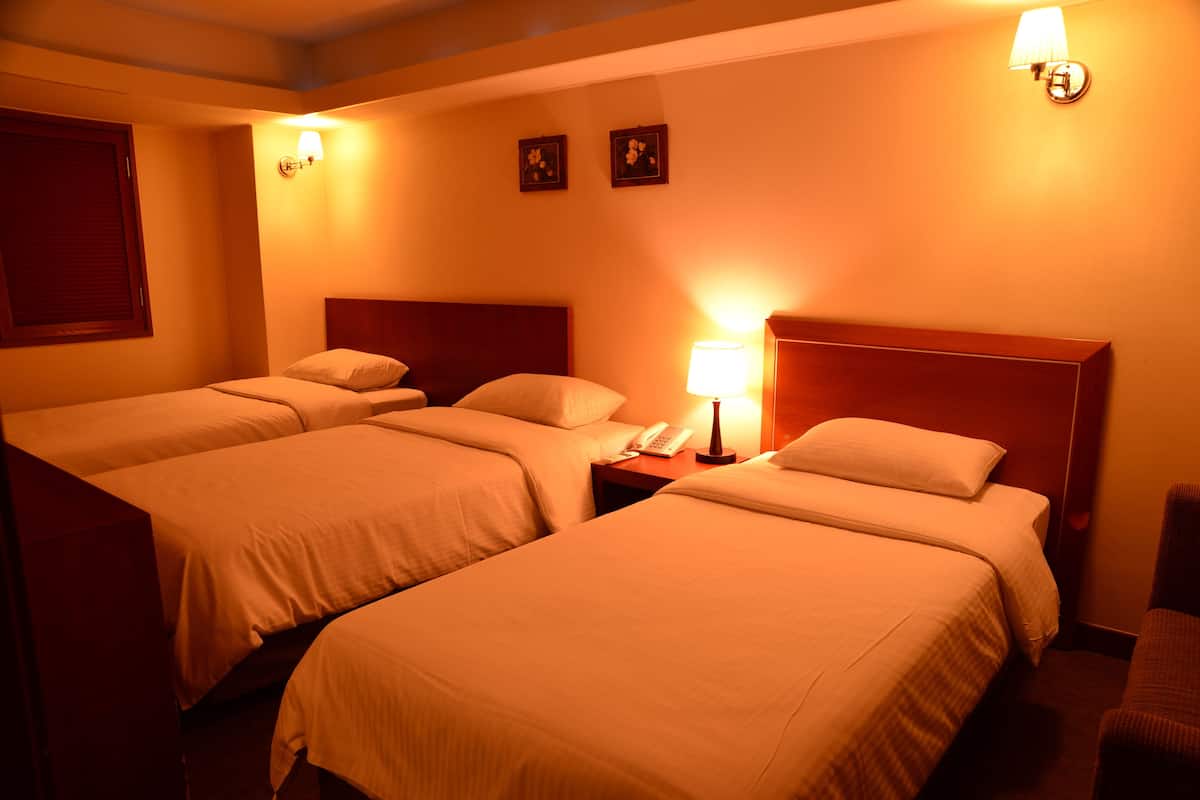 Triple Room | Peti besi dalam bilik, meja, seterika/papan seterika, Wi-fi percuma