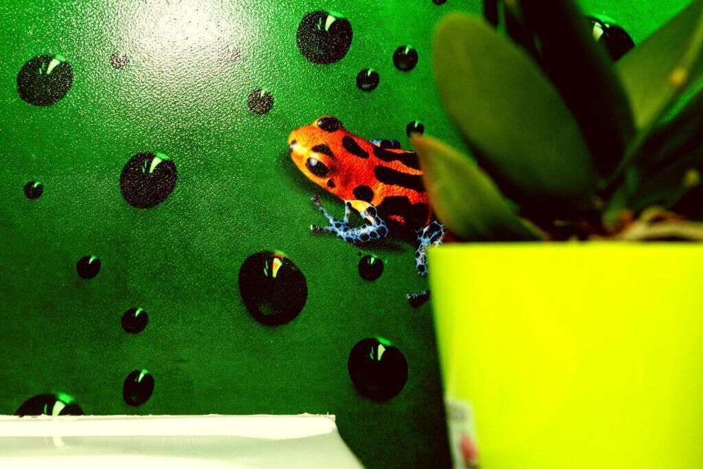 Photo - Affittacamere Pavia