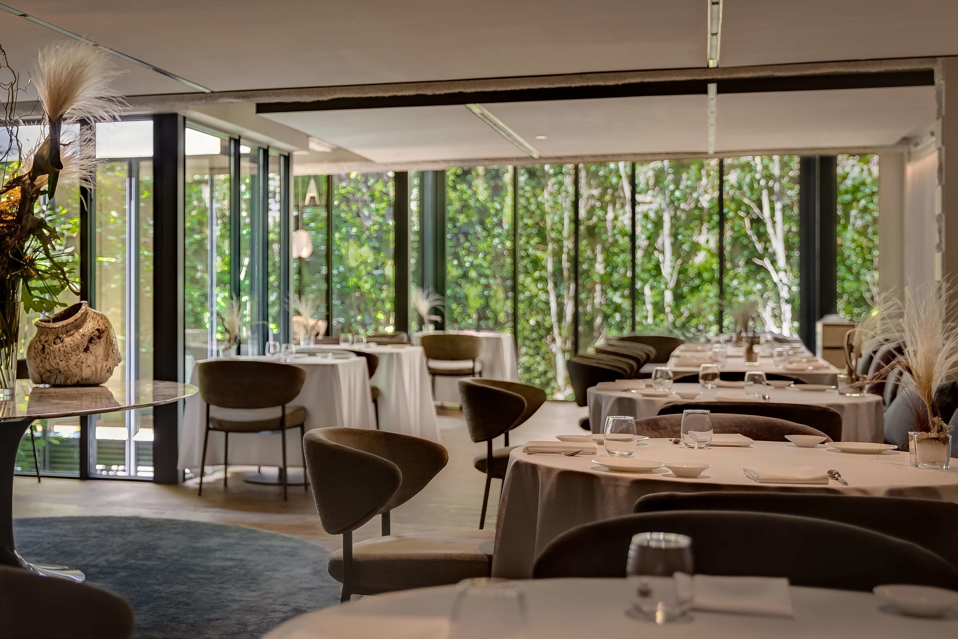 A restaurant with round tables, chairs, and a large window with a view of trees.