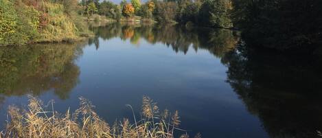 A calm lake surrounded by trees with autumn foliage.