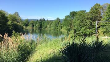 Ruhiger See mit dichter Vegetation und Bäumen.
