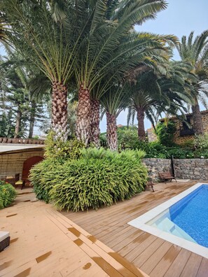 Outdoor pool, pool umbrellas, sun loungers
