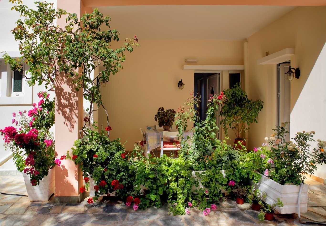 Zona exterior coberta amb plantes en testos i una taula, probablement un patí o jardí.