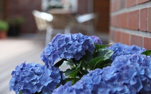 Coffee service - Cityhotel Amadeus (Münster)